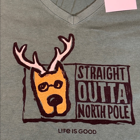 NWT, Life Is Good Green Tee with Reindeer Graphic, size Large - Picture 1 of 9